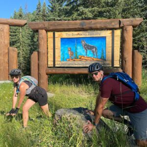 Luke Macfarlane Instagram - The Bow Valley Parkway, a iconic 50km road from Banff to Lake Louise closed to cars for some reasons. open road. Family time with my twin sis. @rooters