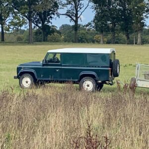 Luke Pasqualino Instagram - INCREDIBLE time @wildernessreserve this week! 😍