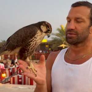 Luke Rockhold Instagram - Habibi, come to Dubai. 
I’m ready for a fight