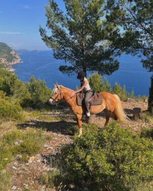 Lumi Pollack Instagram - 🛥️🐴🍓🐾🌊🌸🐈‍⬛🐟🫧