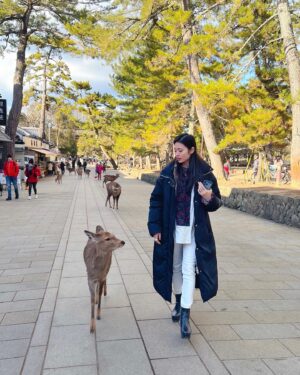 Luna Fujimoto Instagram - Let’s go sis!

#narapark #japantravel #japantrip #naraparkjapan #deer #奈良公園 #奈良観光 #鹿鹿 #鹿