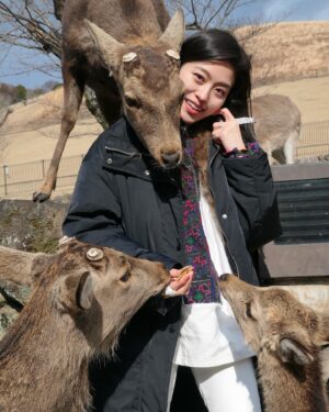 Luna Fujimoto Instagram - Let’s go sis!

#narapark #japantravel #japantrip #naraparkjapan #deer #奈良公園 #奈良観光 #鹿鹿 #鹿
