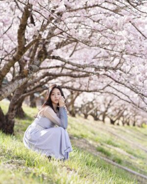 Luna Fujimoto Instagram - Spring vibes🌸

#japan #cherryblossomseason #cherryblossom #springflowers #springday #springvibes #桜 #花見コーデ #春コーデ #春カラー #ポートレート撮影