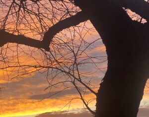 Lyne Renee Instagram - Thank you February… 💋#february #23 #time #love #peace Sending love and strength to all who need it. 🤍🕊️