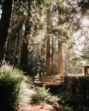 Mackenzie Mauzy Instagram - It has taken me a while to choose favorites from the ART that is @floragibsonphotography ‘s photography (I’d need an account devoted to them all) and to decide what I want to share publicly. SO this is round 1, the first day of our wedding week and a little secret in my favorite hiding place!✨🌲✨🌲 @floragibsonphotography @deetjensbigsurinn