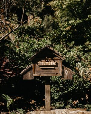 Mackenzie Mauzy Instagram - It has taken me a while to choose favorites from the ART that is @floragibsonphotography ‘s photography (I’d need an account devoted to them all) and to decide what I want to share publicly. SO this is round 1, the first day of our wedding week and a little secret in my favorite hiding place!✨🌲✨🌲 @floragibsonphotography @deetjensbigsurinn