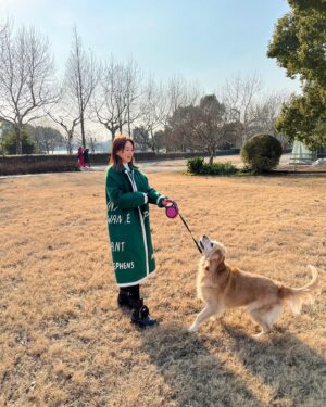 Macy Chan Instagram - Nice afternoon with my good friend Tiger. Sorry I couldn’t help posting the last pic as I think it’s super cute 😆😆😆

#goldenretriever #petfriends 
#doglover #goldenretrieverlovers