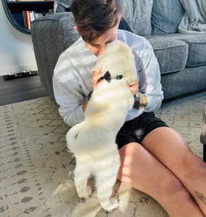 Macy Chiasson Instagram - Welcome to the Chiasson family, little Moose. You are so loved. ☺️😍🐶
.
.
#pyredoodle #pyredoodlesofinstagram #puppy #dogsofinstagram #newpuppy #lgbtq🌈