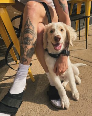 Macy Chiasson Instagram - Memorial Day weekend with MoMo 🐩🐾🦴
.
.
#poodle #greatpyrenees #greatpyreneesmix #standardpoodle #dog #dogsofinstagram #mathiaslovedogs #doglover #bronco #topdown #memories #memorialday #memorialdayweekend #pup #puppy #puppylove