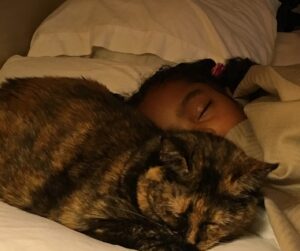 Madalen Mills Instagram - One year ago today, I had to say goodbye to my best friend, Gabbee Porkchop. Gabbee passed away at almost 18 years old with our family right by her side.

Gabbee, you will forever be my other half. From laying on mommy’s belly when she was pregnant with me, to me holding your little paw until you became one of my angels, we were inseparable. You traveled with us wherever we went - Alabama, New York, Atlanta, London (you even had your own kitty passport!), and everyday you gave me a reason to smile. Even death cannot touch all of the wonderful memories I have with you. 

I could not have asked for a sweeter, more loving, caring, and perfect little companion. Where there is great grief, there is great love, and I hope you know now more than ever how much you meant to me and our family. You were such a cute little ball of joy, and I thank God every day that he blessed me with your beautiful spirit. 

I miss you more than words can say GAB, but I know that you are still here with me. I talk to you every day, and I know that you continue to watch over me and I’m grateful to have you as a guardian angel. Goodbyes are not forever, and goodbyes are not the end; They simply mean I’ll miss you, until we meet again. 

I love you with my whole heart Gabbee Porkchop, and you will always be my baby.❤️

-Your Madzz