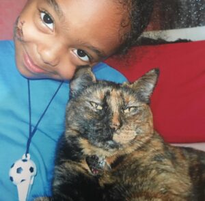 Madalen Mills Instagram - I know we all have a lot on our minds right now, but can we “paws” for a minute for this purrfect cause? 🐈‍⬛. I love partnering with @bestfriendsanimalsociety to bring you this message…

Happy kitten season! My family adopted Gabbee Porkchop 17 years ago from a rescue shelter, and I couldn’t imagine life without her. Cats are some of the sweetest and most loving creatures (especially mine - just look at that adorable face!), which is why we need your help to save them. 

Every year, thousands of kittens are sent to animal shelters across America. They are scared, sometimes sick, and desperate to be shown love and care. By fostering a kitten (or two), you’re providing them with a chance to grow up and find families of their own. If you’re able, please sign up to foster today at the link in my bio. 🐈 #Meow #HelpUsSaveThem #BfInspired