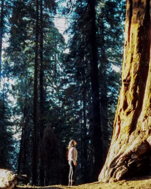 Madalyn Horcher Instagram - “Alexa, play the Twilight soundtrack”

Shot by: @isaac_be11 
Edited by: @elijah.bell3