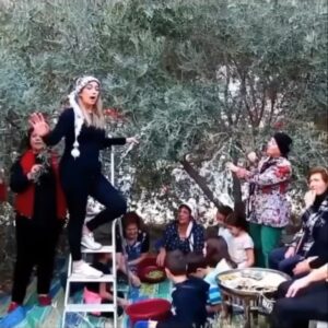 Madeline Weinstein Instagram - Keep calling, writing, donating, marching