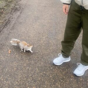 Mafalda Tavares Instagram - Alimentar os esquilos em Londres 🐿️✔️ Foi das coisas que mais gostei nesta viagem. Já tinha ido a Londres algumas vezes mas nunca tinha dado comida aos esquilos e AMEI, eles são muito lindos 🥹 deslizem para o lado e vejam o esquilo mais foito de todos 😂😂

Fotos e vídeo das queridas @telmameirafotografia e @joana_mafalda_ 

#london #londres #esquilos #squirrel #londonsquirrels #stjamespark