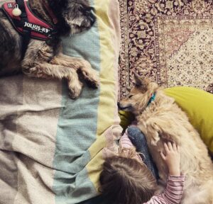 Magdalena Popławska Instagram - Moj zwierzoświat.
Wczoraj pożegnałam się z Perłą. Pożegnałam już wiele zwierzat. Zbieram głównie stare psy, wiec jakby jestem gotowa na pożegnania. Ale zawsze to jest trudne, kiedy się wraca do domu bez nich!
Nie wierze w niebo i piekło, ani w reinkarnacje ale chce wierzyć, że mają sie dobrze. Że mają się lepiej. Wszyscy, którzy nas opuszczają i idą dalej. 
A my zostajemy i próbujmy celebrować życie!❤️
Miłego dnia!
Biegnij Perła.