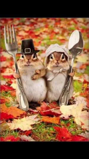 Maggie Egan Instagram - Great Thanksgiving today. It was simple, it was yummy and it was fun. Hope you all have a wonderful time too. I am filled with gratitude for great friends and family (that includes all of you)❣️ Happy Holidays everybody❣️