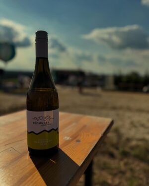 Magyarósi Csaba Instagram - Dórával és a legújabb @tiatia.fashion napszemüveggel csatlakoztunk Robiékhoz a #borlemente🍷🌅 rendezvényre Győr mellett: szuper a hangulat és az idő is. Történelmi pillanat, egy helyen vagyunk és nem szakad az eső!! #barátok #borlemente #szépidő