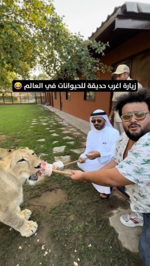 Mahmoud Alsisi Instagram - زيارة اغرب حديقة للحيوانات في العالم 😂 

شكرآ لاستقبالك ♥️ @sb_belhasa 

@fame.park ♥️