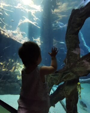 Mai Duong Kieu Instagram - 👩🏻‍⚕️🥊🏖️👢👗 🐠 🌱🦆 👪
