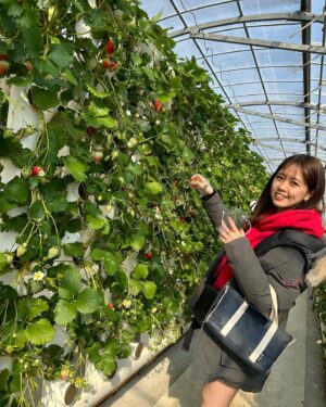 Mai Takeuchi Instagram - ...

いちごがり🍓♡
わんちゃんと行けるの嬉しい♡

リル眩しくて、全部目が開いてないの飼い主に似てる🤔

.
.
.

#instagood #instafashion #selfie #tbt #f4f #swag #fashion #fashionista #gravure #linogravure #被写体 #撮影 #東京 #tokyo #Japan #party #自拍 #japanesegirl #anime #cosplay
#animesong#petstagram #dogstagram #doglover #instadog #maltipoolove #cafe
@b_b_j.j @bijo_photo @_bijo.gram_