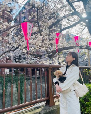 Mai Takeuchi Instagram - ...

目黒川の桜見れた🌸

ホワイトデニムのセットアップおきに👖♡

#目黒川 #桜
