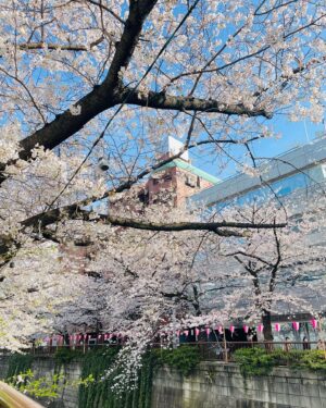Mai Takeuchi Instagram - ...

目黒川の桜見れた🌸

ホワイトデニムのセットアップおきに👖♡

#目黒川 #桜