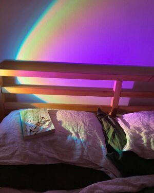 Maiah Stewardson Instagram - a recent life recap, with special mention to Otis.

[ID: image 1 - a sunset lamp shines onto the top of a bed. On a pillow lays a book and glasses 
Image 2 - a tree with bright pink flowers in the morning light. The sky is spotted with clouds 
Image 3 - a flat lay style photo of some plates of food. They contain prosciutto, soft cheese and cooked squid
Image 4 - a photo of two bags of edemame. One frozen and one dried 
Image 5 - a photo of Maiah sitting outside on a bench. They Are drinking a takeaway coffee
Image 6 - Otis is curled up asleep on the couch. The lighting is dim
Image 7 - Otis is laying outstretched and asleep on the couch. 
Image 8 - a close up of Otis’ paws and toe beans as they sleep. ]