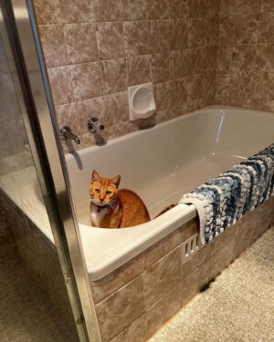 Maiah Stewardson Instagram - pov: me watchin my weird cat otis.