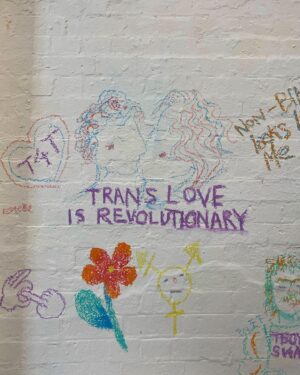 Maiah Stewardson Instagram - trans love and trans existence and trans stories and trans youth and trans magic won’t be stopped — it’s been here forever 🏳️‍⚧️