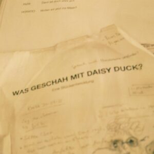 Mala Emde Instagram - Mmmooo. Premiere 🌶

#wasgeschahmitdaisyduck @baslercompagnie @theaterbasel @_michael.klammer_ @anne__haug @fabiandaemmich @schwarzaenne @nunesantu @pachemor