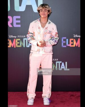 Malachi Barton Instagram - @pixarelemental premiere was 🔥🔥🔥🔥 but also 💧🌱💨#pixarelemental thanks for having me @Disney