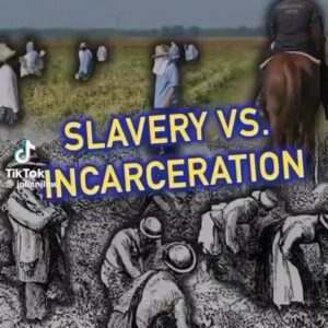 Malcolm-Jamal Warner Instagram - Don’t let hip hop trick our youth into thinking murking motherfuckers and going to jail is cool. I know the beats be kool-aid sweet, but our kids need to be aware of the design. Shit is real out here. 

Incarceration is the new plantation‼️ Have you read The New Jim Crow book? 📚 And if you didn’t know it’s banned in certain states and jails across the United States. 

For #TheNewJimCrow book 📕 www.DTR360Books.com/books or click link in our bio.

🎥 @julianjlaw 

#massincarceration #ushistory #blackhistory #thenewjimcrow #teachersofinstagram #DTR360Books