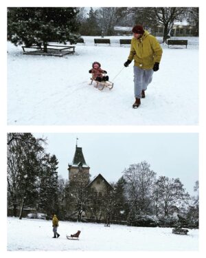Malvína Pachlová Instagram - Tak jsme ji poprvé vyvezli… a myslím, že to mělo úspěch. Nevím, kdo se bavil víc, jestli my nebo paní Nola. Taky jsme postavili sněhuláka a Nola se hezky porochnila ve sněhu. Bylo to báječný teď všechno usušit a snad nám ten sníh vydrží ať můžeme brzy zas. 😍 #love #family #together #snow #sleigh #❄️#☃️ @milanligac