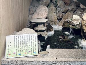 Mami Instagram - “龍宮”
2024,06,24, 佐賀県嬉野市・和楽園
@warakuen_chagokoro 

素晴らしい旅館の50周年を記念し、リニューアルされた客室の内装を担当いたしました。

「書く文字はお任せします」
と３代目よりオーダーをいただき、”日本三大美肌の湯” として知られる嬉野の泉質に癒されつつ、頭を振り絞って考えました。

左の壁「龍宮」は、
壁：艶消し藍色
インク：艶ありのネイビー
※これからベッドが来るので下のスペース空けてます💤

右の壁「亀ものがたり」は、
壁：艶消し藍色
インク：艶あり黒、艶ありネイビー、艶消し青緑

3色で書いた「亀ものがたり」は角度により見え方が変わり、まるで立体物のような平面作品を完成させることができました。

また、「龍宮」の文字を選んだ理由は以下。

--

①和楽園入り口にある池の亀たちが、竜宮城の乙姫を慕っていたという「亀ものがたり」のお話よりインスピレーションを受けた。

②竜宮城には水の神様がいる。和楽園はお茶と温泉を大切にしていて、どちらも水が鍵となる。

③竜宮城に赴いた者へは宝物が与えられる。私自身も、和楽園にて沢山の宝物となる時間を過ごさせていただいた。

④和楽園から徒歩圏内に豊玉姫（別名：乙姫）をお祀りする神社があり、書く前に参拝した。

〜三代目より個人的なエピソードも入れてOKと言われたので〜

⑤和楽園に伺った２日間、爽やかな雨が降っていて、龍神様が喜んでいるように感じた。

⑥自分自身の中にも新しい命がいて、水（羊水）がとても大切。龍年に子供を授かり出産することと、和楽園も今年50周年を期に新たな挑戦をするということで、「竜宮」を「龍宮」と表記した。

--

和楽園さん50周年おめでとうございます。
そしてお招きいただき、特別な時間を作っていただき、ありがとうございます！！！
またすぐに行きたい♨️🍵　

#和楽園 #嬉野温泉 #嬉野茶
#書道家万美 #mamimozi #Calligraf2ity