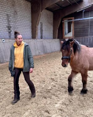 Mandy Böhm Instagram - 🌍 Das Glück der Erde liegt auf dem Rücken der Pferde 🐴 
Do you agree ? Ich liebe diese Tiere, selbst ein Spaziergang oder nur das putzen 🧹 gibt mir ein tiefes Gefühl von Verbundenheit und innerer Ruhe ☺️😌☀️