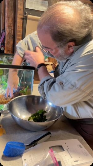 Mandy Patinkin Instagram - Fish tank