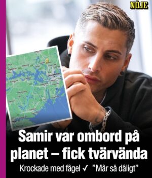 Måns Möller Instagram - Idag har jag tänkt hela dagen på det trauma Samir var med om. Planet han satt på körde på en fågel. 🐤🐤🐤