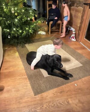 Måns Zelmerlöw Instagram - A small dog appreciation post. Don’t see many of them on here. Messi and Rafa. Father and son. Both incredibly patient with the kids and so loving and protective. The best. 🖤🖤
