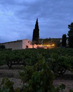 Måns Zelmerlöw Instagram - A place I always like to return to… #penedes500