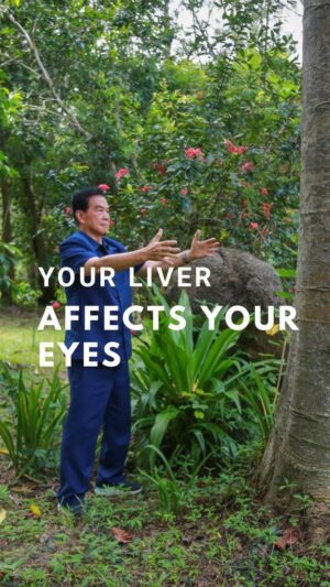 Mantak Chia Instagram - How Your Liver Condition Affects Your Vision👀

In the Tao, we believe the eyes are energetically connected to the liver💫

❗️Tao Masters said: “Eyes are the children of the liver.”

👉🏻When the life force is excessively draining from your liver, this can damage your eyes and wreak havoc on your energy system.

Living with liver disease can pose physical and mental health challenges, including impaired vision. One of the liver’s primary functions is to remove harmful toxins from the body🦠

Many liver diseases can affect the eyes’ health and lead to eye diseases such as cataracts👁️

☯️The union between our eyes and our livers shows that we must prioritize both organs equally to function health-wise optimally.

When toxins accumulate in the liver and it becomes overworked, your vision may start to decline🌀

⚠️It is essential to maintain your liver health and do Taoist practices for your liver.

Through internal exploration, ancient Tao Masters came up with the formulas of sealing the senses to support your liver and eye health and stop energy loss🙌

💬They said: «Turn your eye power inward. When you feel the green energy turning into the green dragon in the eyes, it will seal and protect you.»

In Tao, there is a very powerful meditation; with this practice, you can detoxify internal organs from accumulated toxins🧬

Master Mantak Chia will perform this meditation this Sunday during an online Cosmic Vision Session, where he will pay attention to maintaining our liver health✨

🤩Do you want to experience these powerful practices for your vision improvement and see things clearer?

🙏Mantak Chia invites you to his Cosmic Vision online Session with Energy Transmission, 🗓️on the 31 of March ⏰ at 10.00 am CET.
✅Lifetime access to recordings included
Translations into French, Spanish, German, and Russian are confirmed 🇫🇷 🇪🇸🇩🇪🇷🇺
💌Write the code word Healing to book last places!