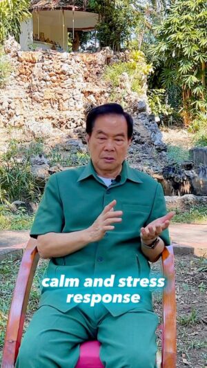 Mantak Chia Instagram - Master your nervous system and make it work for yourself🙏🏻
⠀
It is safe to say that the state of our nervous system determines the quality of our lives.
⠀
Our nervous state determines our behavior, our relationships with others, our approach to work and productivity, and our ability to withstand stressful situations without exhaustion.
⠀
Our autonomic nervous system can be divided into 2 main branches, which are the sympathetic and parasympathetic nervous systems👇🏻
⠀
🔸Sympathetic Nervous System is often referred to as the «fight or flight» system because it becomes active in response to stress or danger.
⠀
From Taoist perspective, we can consider this system as Yang ― active, outward expanding, fast and hot♨️
⠀
🔸Parasympathetic Nervous System is often referred to as the «rest and digest» system because it becomes active during periods of rest, relaxation, and recovery.

The parasympathetic nervous system can be considered as Yin ― slow, introspective, tranquil, passive.
⠀
One can notice that many people constantly live under stress and don’t realize that their sympathetic nervous system is always on. This leads to energy depletion, physical and emotional exhaustion, and ultimately ― illnesses.
⠀
In the Tao, we have a fundamental practice that allows us to unify Yin and Yang energies in the body and integrate our nervous systems for wellness and self-healing. This practice is called the Microcosmic Orbit Meditation🧘🏻‍♂️
⠀
The Microcosmic Orbit is the main pathway of Qi, vital energy, in the human body🪐

When your Orbit is open, energy constantly circulates as a closed circuit, running up the spine and going down in the front of the body.
⠀
The Microcosmic Orbit Meditation is a millennia-old tool to help ensure that your energy stays strong, invigorated, vibrant and free of blockages.
⠀
☯️If you want to learn this ancient esoteric practice from a real Tao Master, we invite you to join Master Mantak Chia’s workshop on Energy Meditation that will take place online and on-site in Thailand on December 1st - 5th.
⠀
Write the word TAO in the comments to know more👇🏻
⠀
Welcome, and may the Qi be with you!🙏🏻