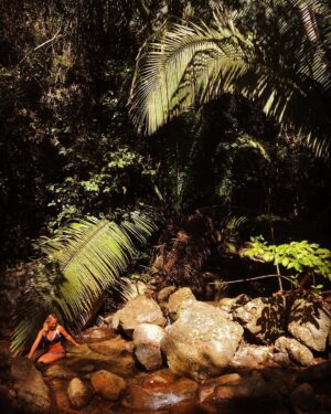 Marc-André Leclerc Instagram - @bretteharrington in her element, amongst rather large green plants.  In other words: 'Amorita' (definition) - Un especie de humano, más bonita pero muy rara y difícil encontrar en la naturaleza, porque hay solamente una. Su hábitat normal es la selva pero puede vivir en todas paisajes incluso el desierto, la nieve y montañas altas. 👌