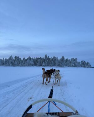 Marc Muniesa Instagram - Family husky safari🇫🇮❄️