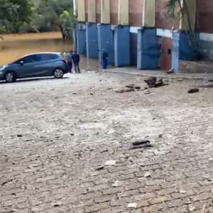 Marcel Stürmer Instagram - Quanta destruição e tristeza na minha cidade natal, Lajeado. 
Me sensibilizo com a dor de cada lajeadense pois sinto que o senso de comunidade local faz com que ninguém passe ileso a essa tragédia. 
•
Em um lado pessoal, este é o “Claudião”, ginásio onde tanto treinei quando criança e que hoje recebe o Centro de Treinamento de Patinação. 
Os patins dos nossos atletas também acabaram ficando debaixo d’água durante essa enchente tão agressiva e triste. 
Uma força tarefa das famílias (valeu, Jaque!) e dos patinadores do CT recuperou da melhor forma possível parte desse material. 
Esses danos são secundários mas podem significar muito na vida dos nossos atletas que de diferentes formas tiveram suas vidas impactadas. 
Que o esporte possa, em breve, ser fonte de energia e acolhimento nessa retomada que se inicia. 
O CT logo estará pronto para vocês. 
•
Que meus conterrâneos que tanto perderam possam encontrar forças para reconstruir nossa cidade e que o sonho que mora dentro de cada um de vocês siga vivo. 🙏🏽❤️