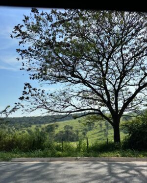 Marcelo Bonfá Instagram - Minas Gerais trip @dadoebonfatour