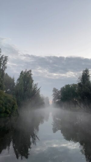 Marco Tostado Instagram - 6 AM , Lago de Xochimilco , México 
.
.
.
#xochimilco #mexico #cdmx