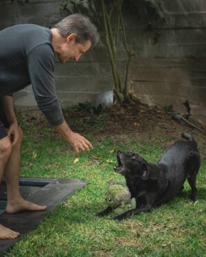 Marco Zunino Instagram - Durante un rodaje en la reconocida Quinta Heeren, @marcozunino_of conoció a Tyson, un perro que siempre se acercaba a él. Todos le decían, “ya te escogió”, pero Marco pensaba que con su estilo de vida y tantos viajes, no estaba preparado para adoptar.

En el último día de rodaje, mientras Marco descansaba, Tyson se sentó a su lado y lo miró fijamente. En ese momento, Marco entendió y le dijo: “sí, nos vamos a casa.”

Así comenzó su historia juntos, una historia de compañía y lealtad que transformó sus vidas para siempre. 🖤🐾