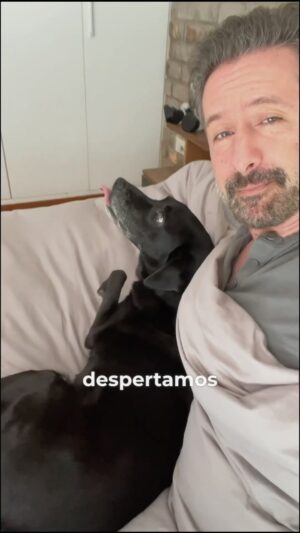 Marco Zunino Instagram - Una mañana con Tyson 🐾

#viral #cocina #foryou #parati #viral #paratiiiiiiiiiiiiiiii #fyp #foryourpage #cocinar #arroz #cocina #elgranchef