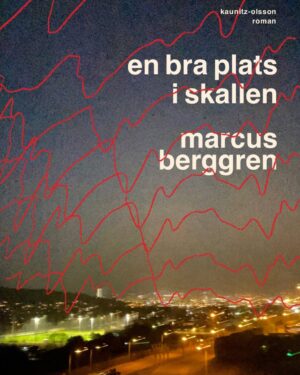 Marcus Berggren Instagram - Debut: roman: ute