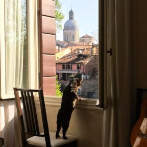Mari Yamazaki Instagram - Belem e Duomo di Padova (sette anni fa)